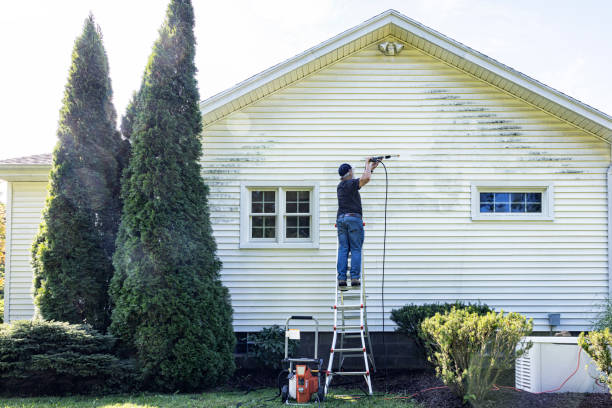 Best Gutter Cleaning  in Maplewood, MN